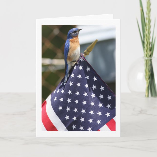 Red,White & Bluebird Card (Front)