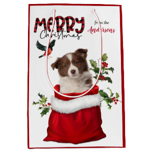 Red White Border Collie Puppy Dog Christmas Medium Gift Bag