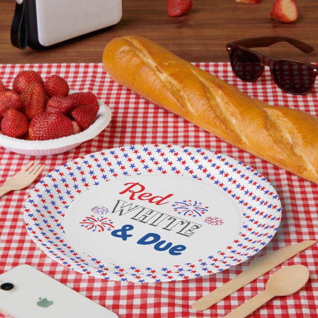 Red White & Due Baby Shower Paper Plates (Picnic)