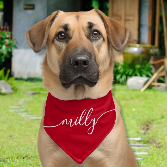 Red White Elegant Calligraphy Script Name Dog Pet Bandana Collar (Creator Uploaded)