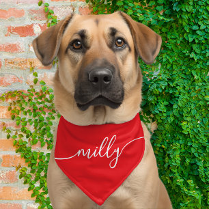 Red White Elegant Calligraphy Script Name Dog Pet Bandana Collar