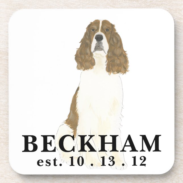 Red & White English Springer Spaniel Beverage Coaster (Front)