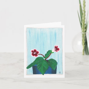 Red White Gloxinia African Violet Flower Notecards