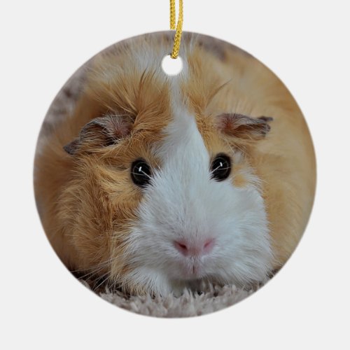 Red  White Guinea Pig Ceramic Ornament