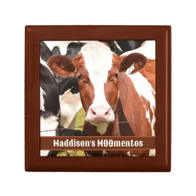 Red, White Holstein Cow MOOmentos Gift Box (Front)