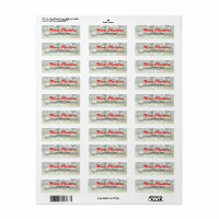 Gnome in Sleigh Christmas Address Labels 30 Per Sheet