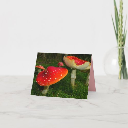 Red White Mushrooms Blank Photo Note Card