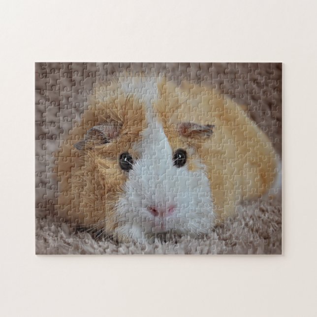 Red & White Pet Guinea Pig Jigsaw Puzzle (Horizontal)