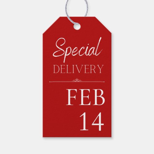 Red  White Special Delivery Feb 14 Gift Tags