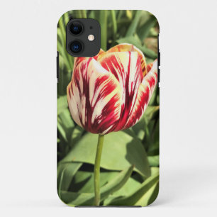 Red & White Tulip iPhone 11 Case