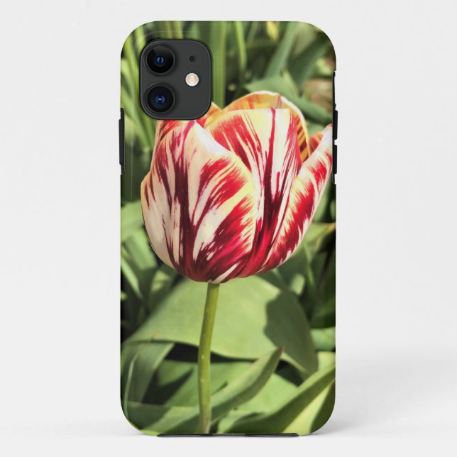 Red & White Tulip Case-Mate iPhone Case (Back)