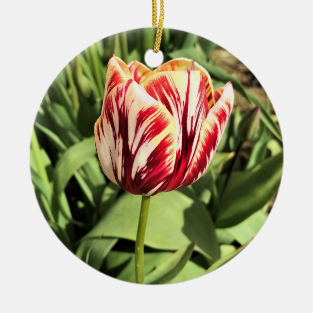 Red & White Tulip Ceramic Ornament (Front)