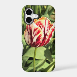 Red & White Tulip iPhone 17 Case