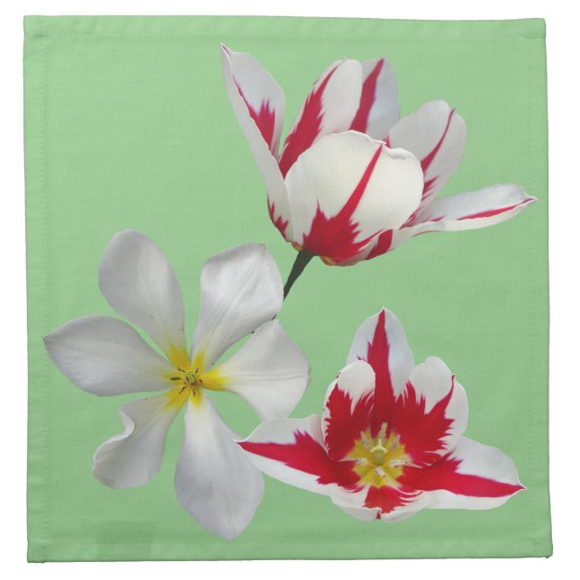 Red White Tulips Close Up Cloth Napkin (Front)