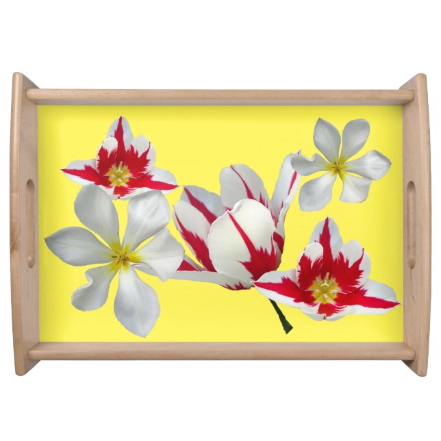 Red White Tulips Close Up Serving Tray (Front)