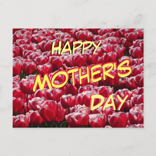 Red White Tulips Pattern Mothers Day Postcard