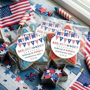 Red, White & Who? 4th Of July Gender Reveal Party Classic Round Sticker