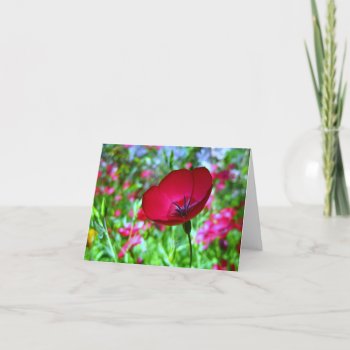 Red Wildflower Greeting Card by ForEverProud at Zazzle