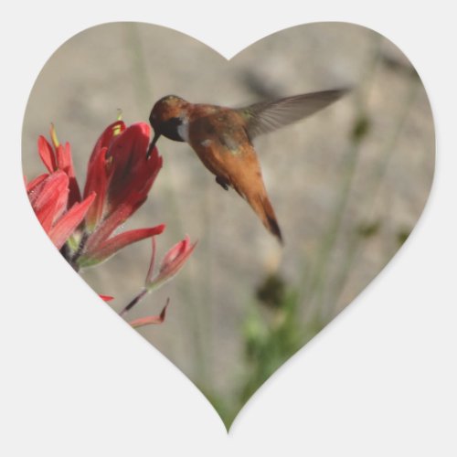 Red wildflower hummingbird heart sticker