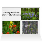 Red Wildflower on Rock Cards (Inside Horizontal (Top))