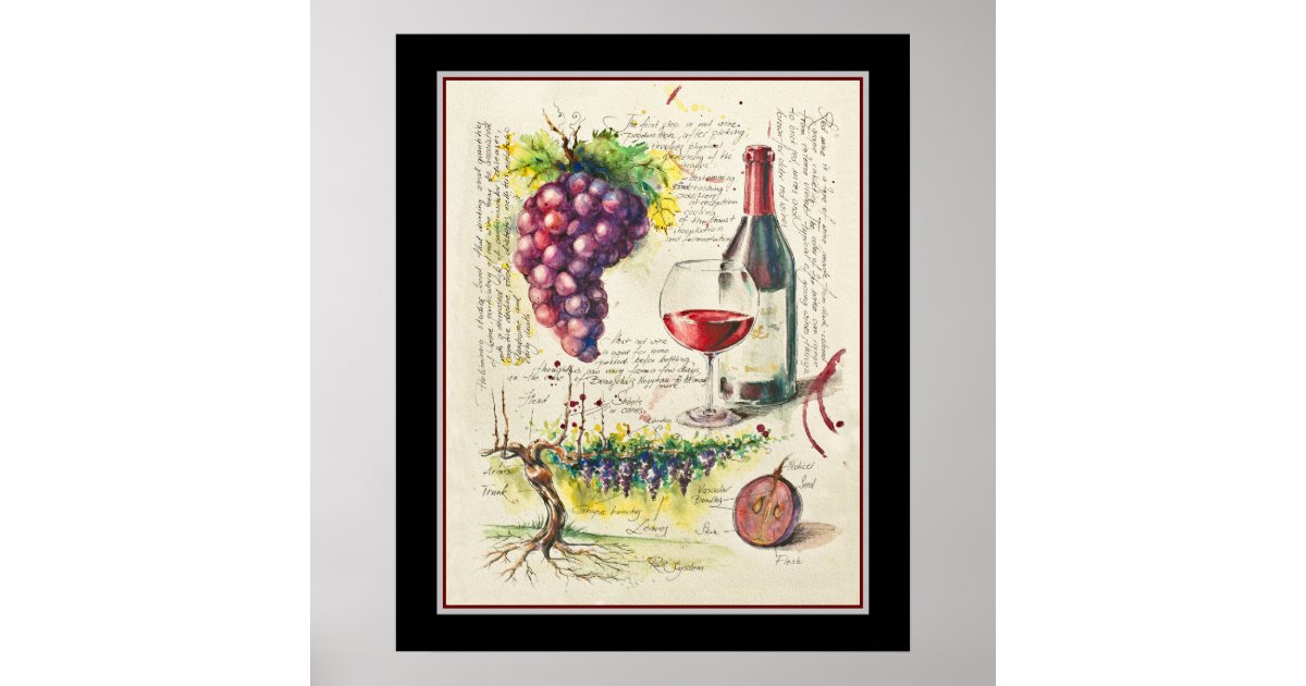 Red Wine Botanical Poster | Zazzle