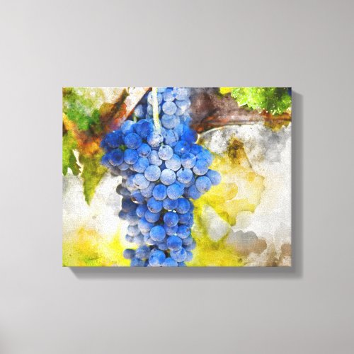 Red Wine Grapes on Vine Canvas Print