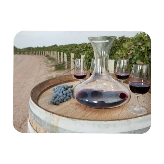 Red Wine In Vineyard Magnet (Horizontal)