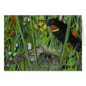 Red Wing Blackbird (Front Horizontal)