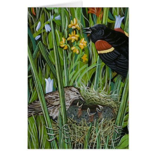 Red Wing Blackbird Cards (Front)