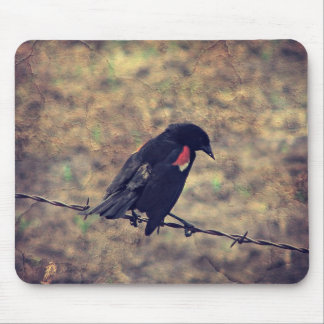 Red Wing Blackbird on Barbed Wire Mouse Pad