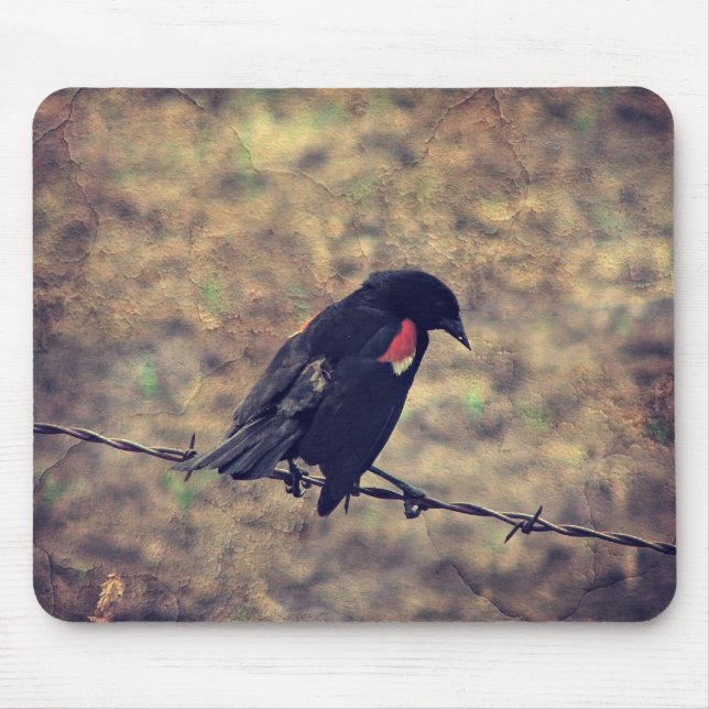 Red Wing Blackbird on Barbed Wire Mouse Pad (Front)
