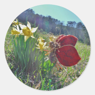 red wing fairy and daffodils classic round sticker