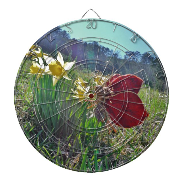 red wing fairy and daffodils dart board (Front)