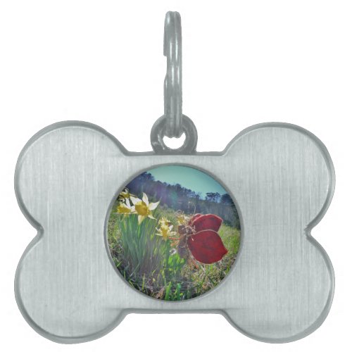 red wing fairy and daffodils pet tag