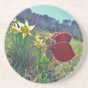 red wing fairy and daffodils sandstone coaster