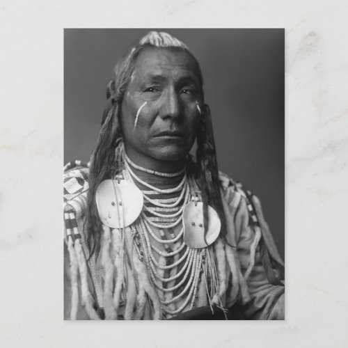 Red Wing Native American Man Postcard
