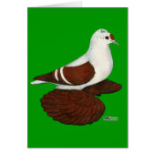 Red Wing Pigeon (Front)