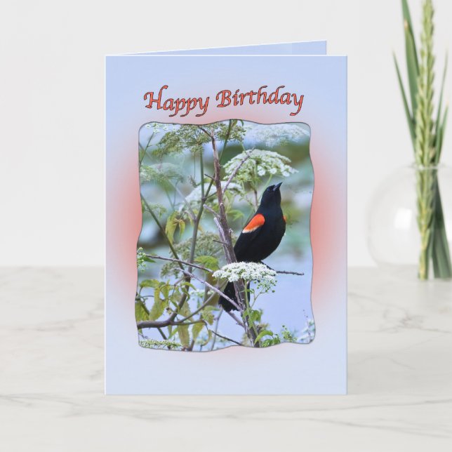 Red-winged Black Bird Birthday Card (Front)