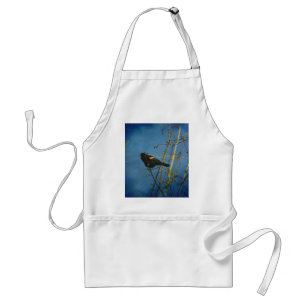 Red-Winged Black Bird singing Adult Apron