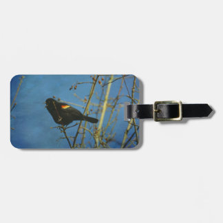 Red-Winged Black Bird singing Luggage Tag
