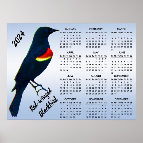 Red_winged Blackbird 2024 Calendar Poster