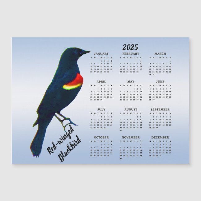 Red-winged Blackbird 2025 Calendar Magnetic Card