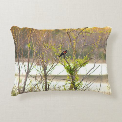 Red_winged Blackbird Accent Pillow