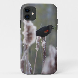 Red-winged Blackbird  (Agelaius phoeniceus) iPhone 11 Case