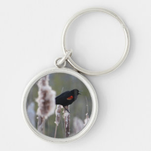 Red-winged Blackbird (Agelaius phoeniceus) Keychain