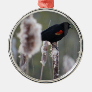 Red-winged Blackbird (Agelaius phoeniceus) Metal Ornament