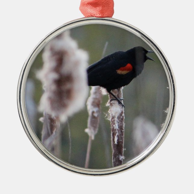Red-winged Blackbird  (Agelaius phoeniceus) Metal Ornament (Front)