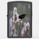 Red-winged Blackbird  (agelaius Phoeniceus) Zippo Lighter at Zazzle