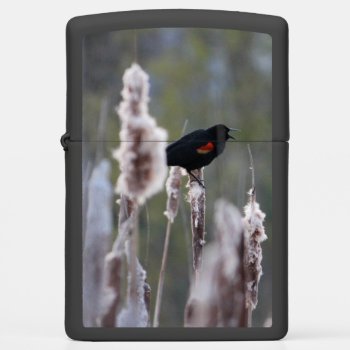 Red-winged Blackbird  (agelaius Phoeniceus) Zippo Lighter by JeanC_PurpleDucky at Zazzle
