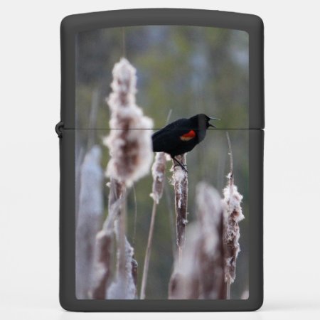 Red-winged Blackbird  (agelaius Phoeniceus) Zippo Lighter